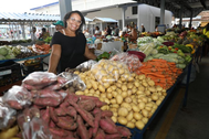 Agricultura familiar: Sade e Serrolndia recebem mercados municipais revitalizados e ampliados